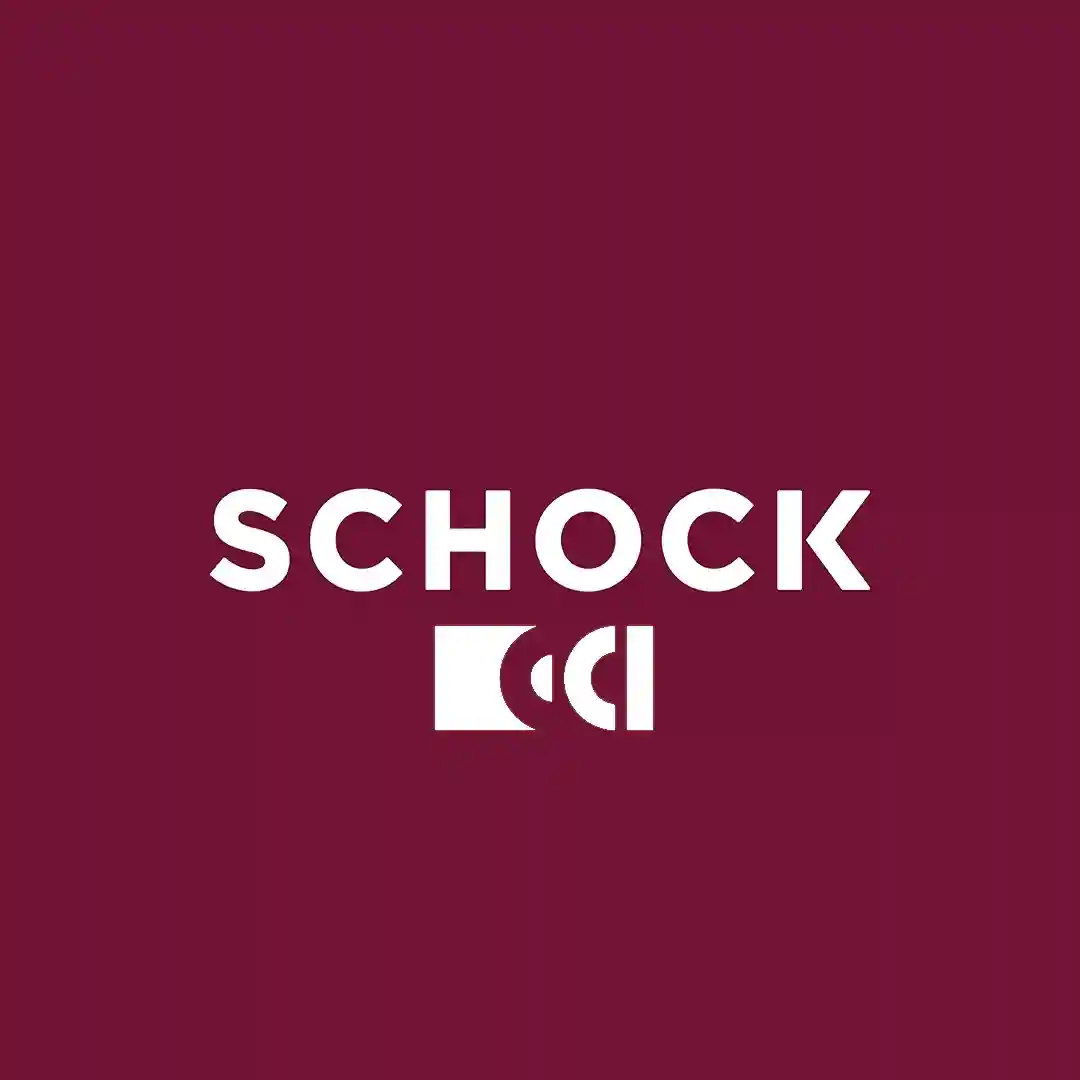 Identyfikacja wizualna marki Schock